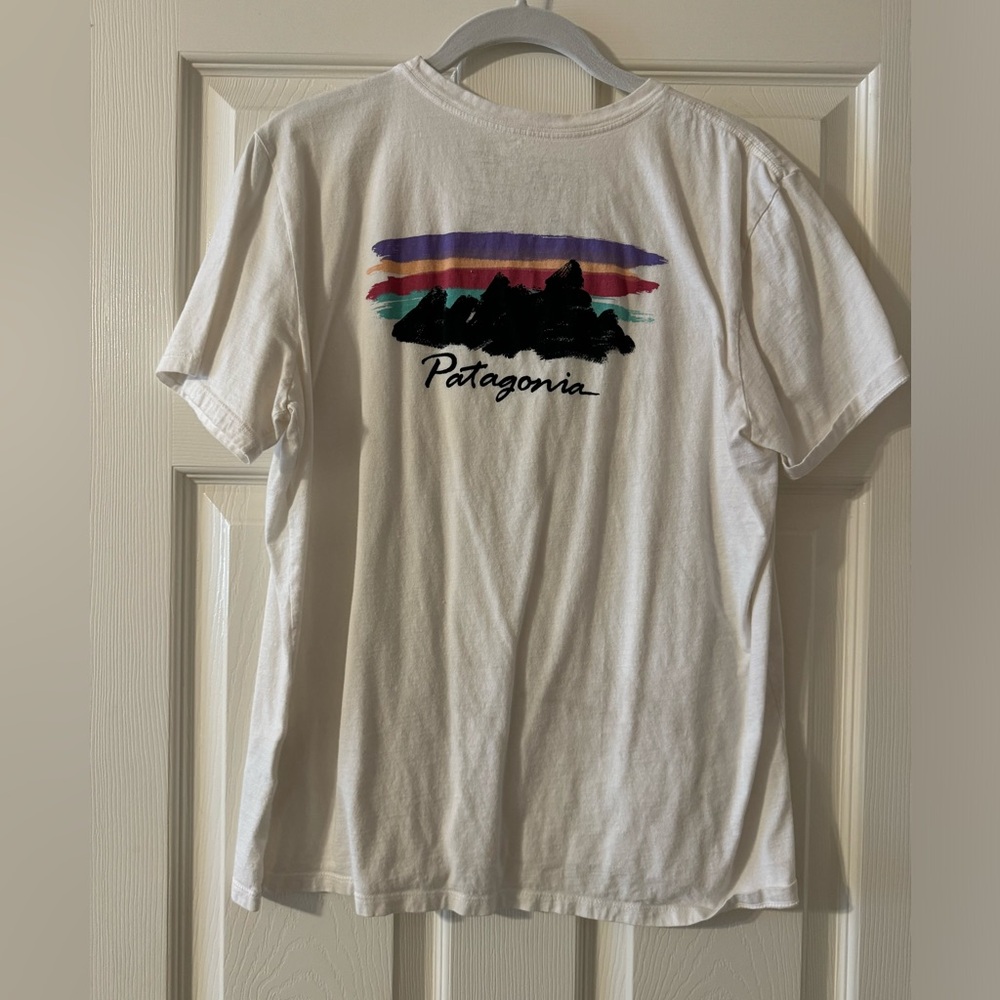Patagonia tee